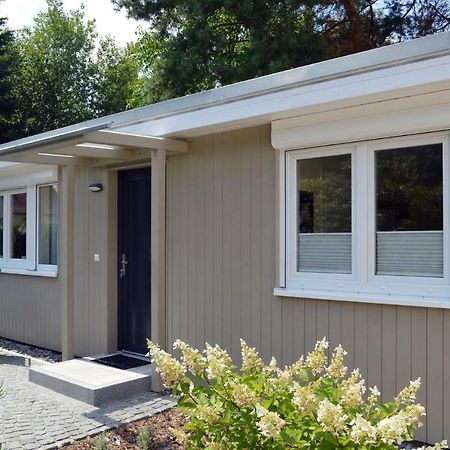 Villa Ferienquartier Goethe33 Dresda Esterno foto
